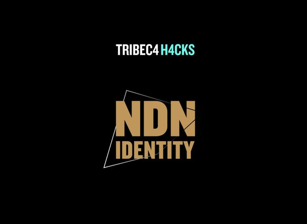 Ndn_identity_web_graphic-01